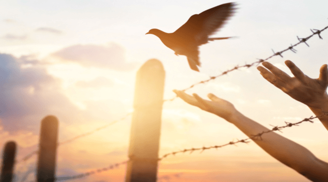 Religion: Problemet eller løsningen?